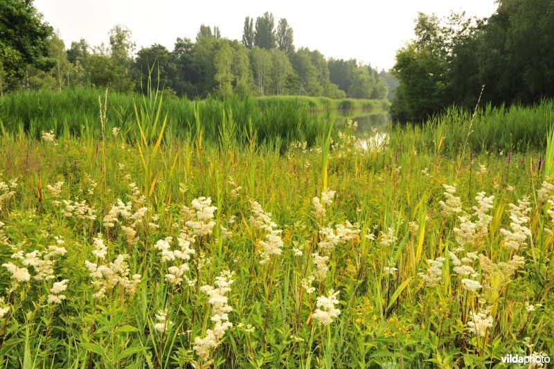 Natuurreservaat Torfbroek