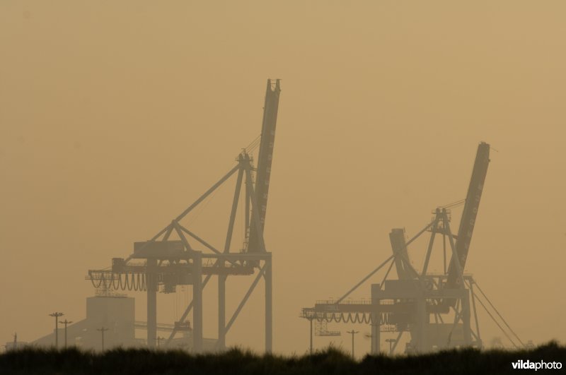 Havenkranen in Duinkerke