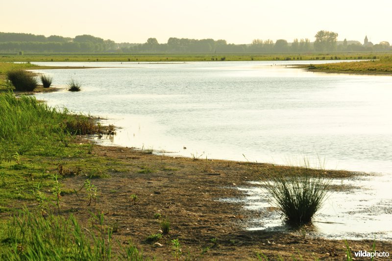 Natuurreservaat Putten West