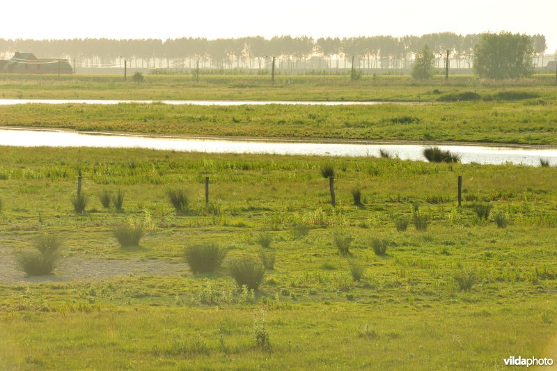 Natuurreservaat Putten West