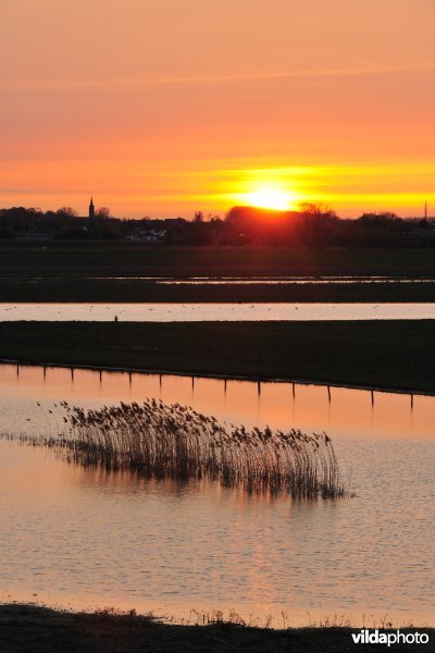 Natuurreservaat Putten West