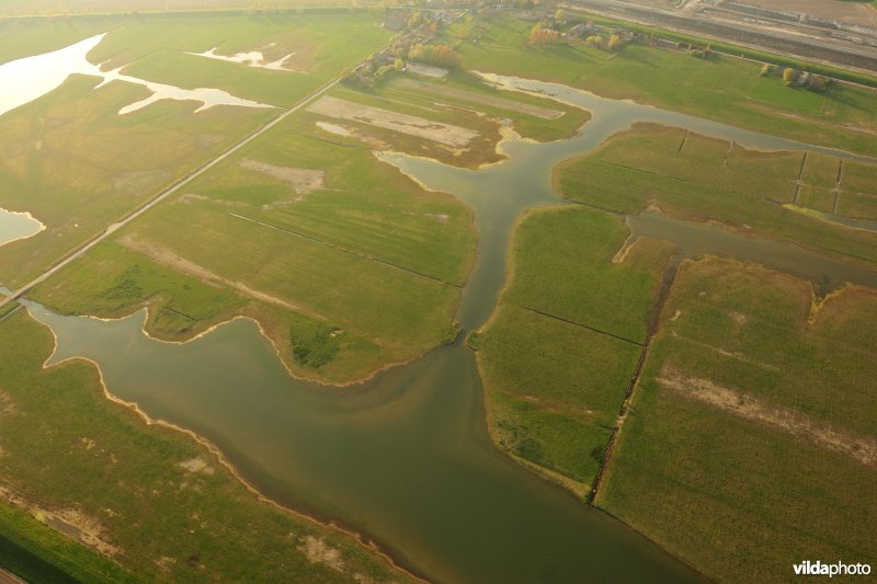 Doelpolder Noord