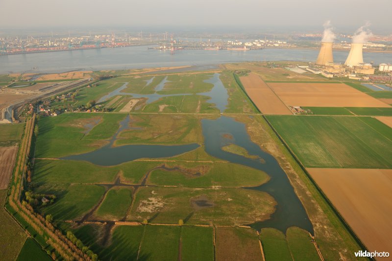 Doelpolder Noord