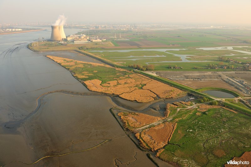 Paardenschor in Doel