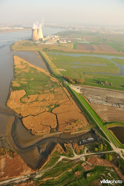 Paardenschor in Doel