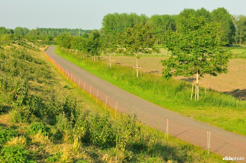 Weijmeerbroek