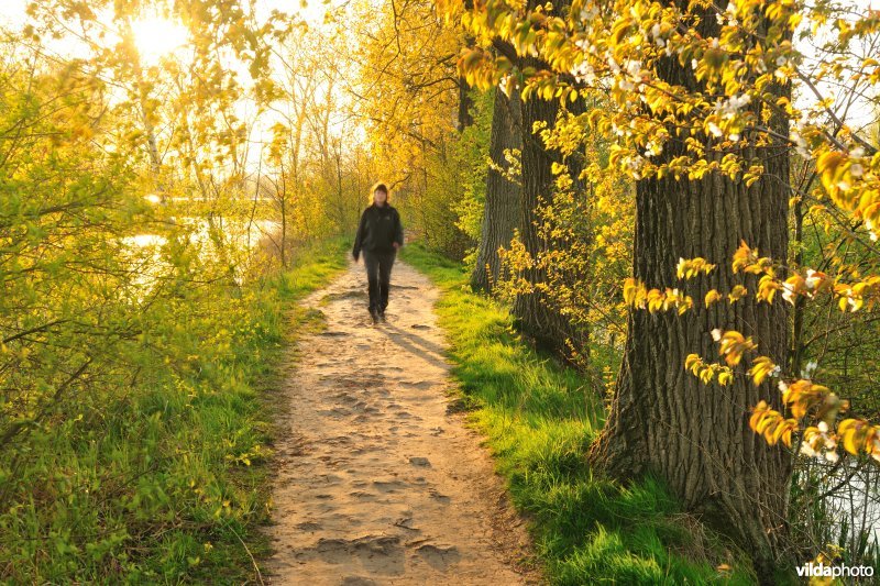 Wandelen in de Bourgoyen