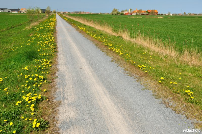 Spoorweg Frontzate