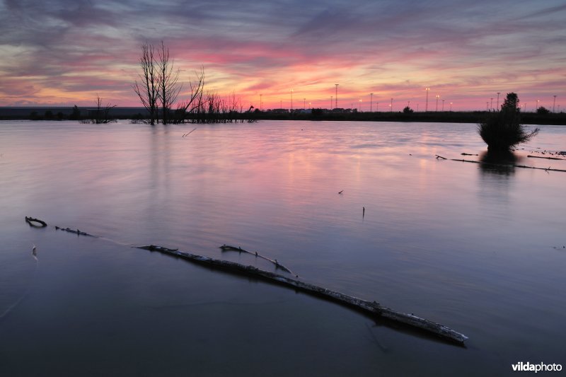 Verrebroekse plassen