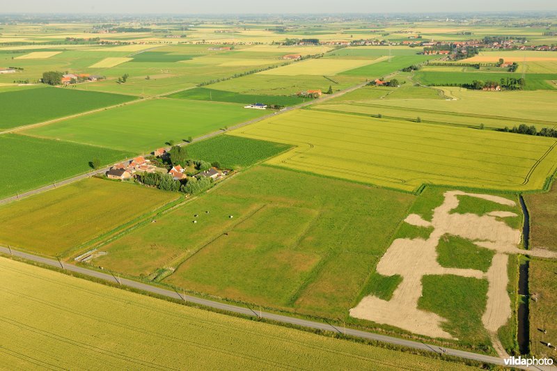 Gedempte laantjes in reliëfrijk poldergrasland