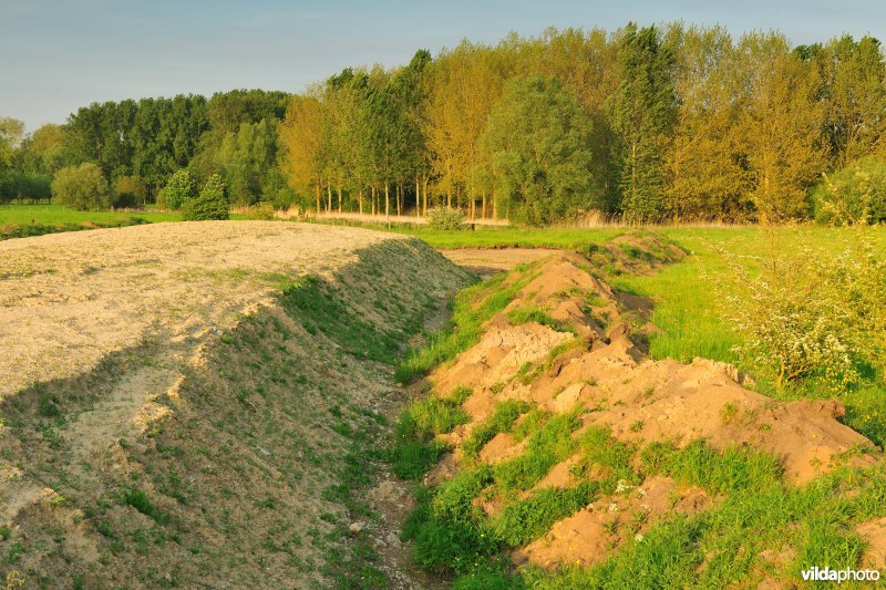 Wijmeersen