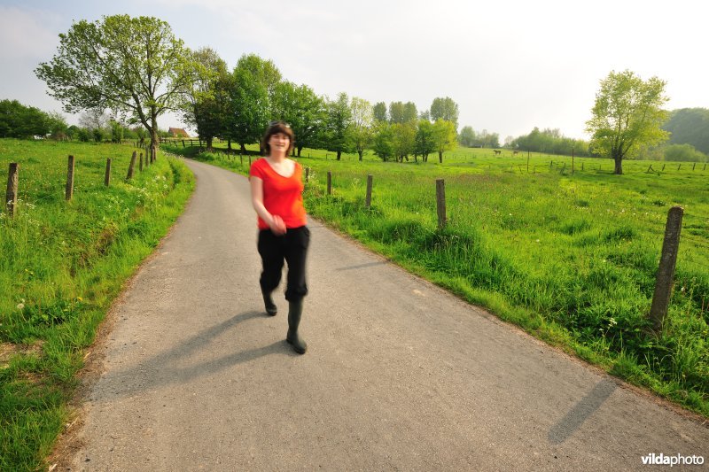 Wandelen in de Vlaamse Ardennen