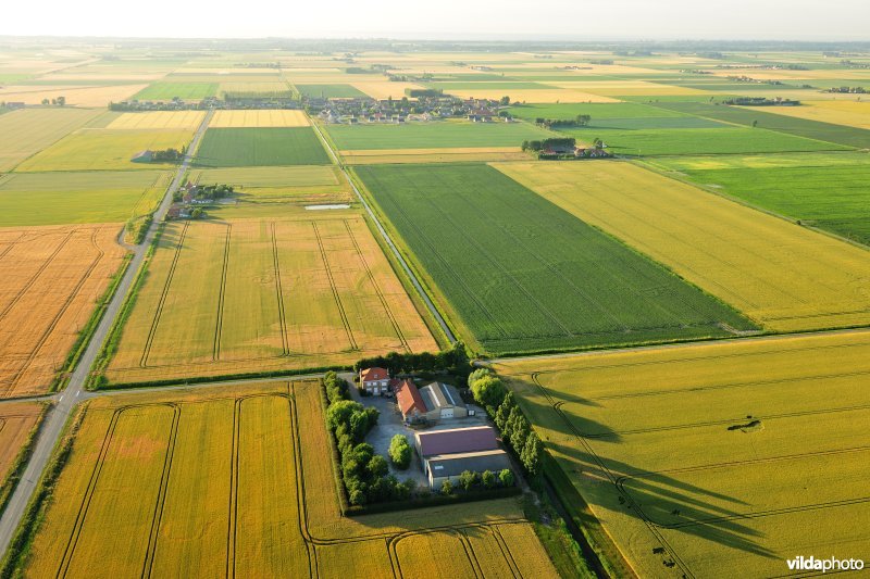 De Franse Moeren