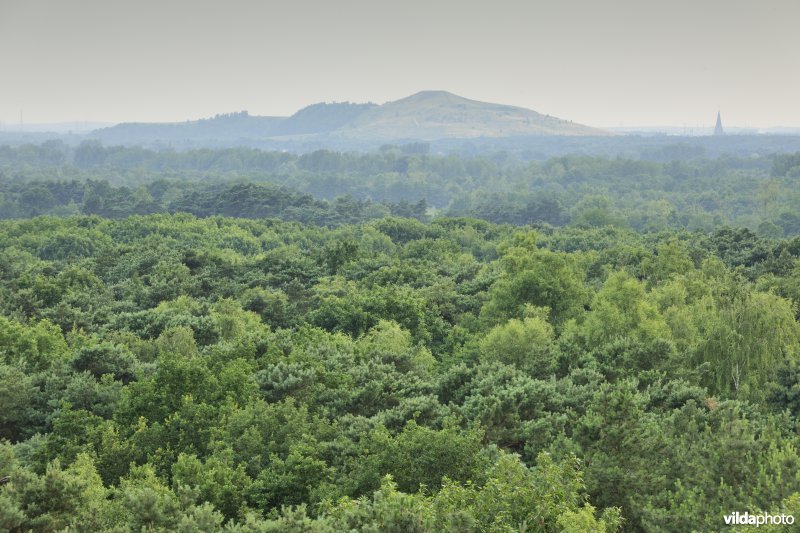 Mijnterril in de Vallei van de Zwarte Beek