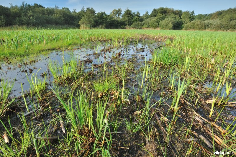 Plagplek in Urkhovense Zeggen