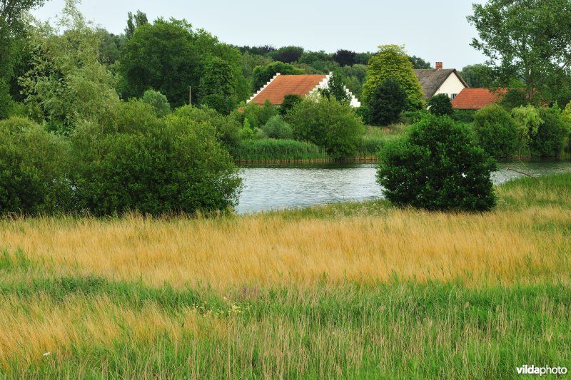 Grote Vijver deel 1 in het Zennegat