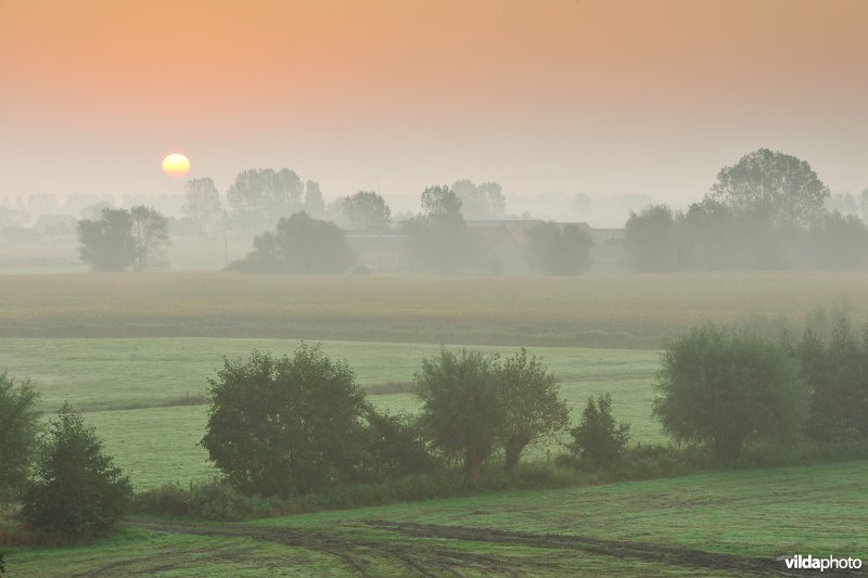 Polders achter de Oosthoekduinen