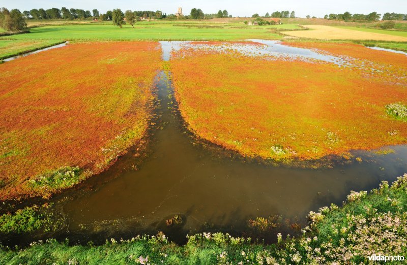 Dudzeelse Polder