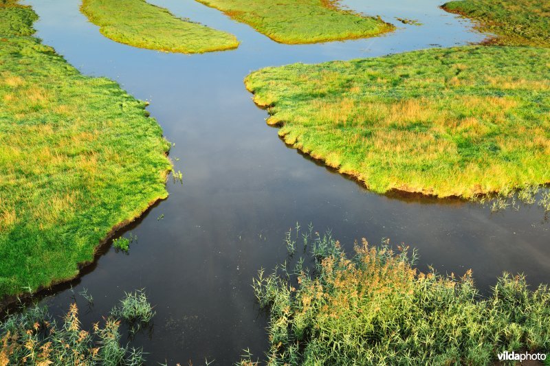 Dudzeelse Polder