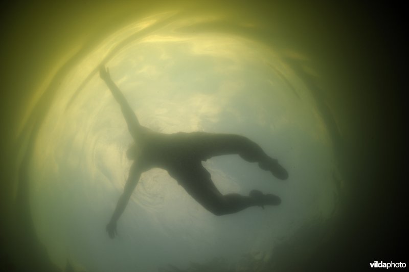 Zwemmen in een Noors meer