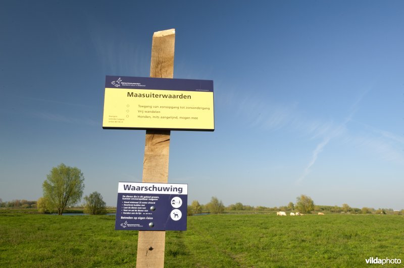 Uiterwaarden van de Maas