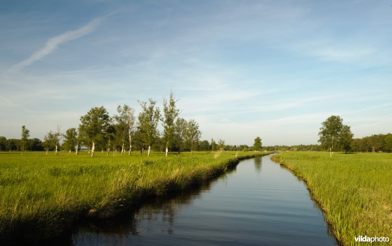 De Wieden