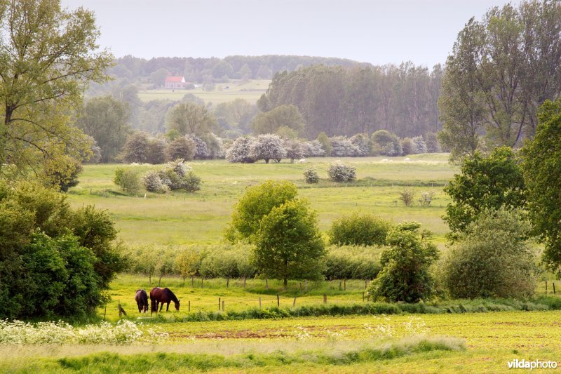 Lentelandschap