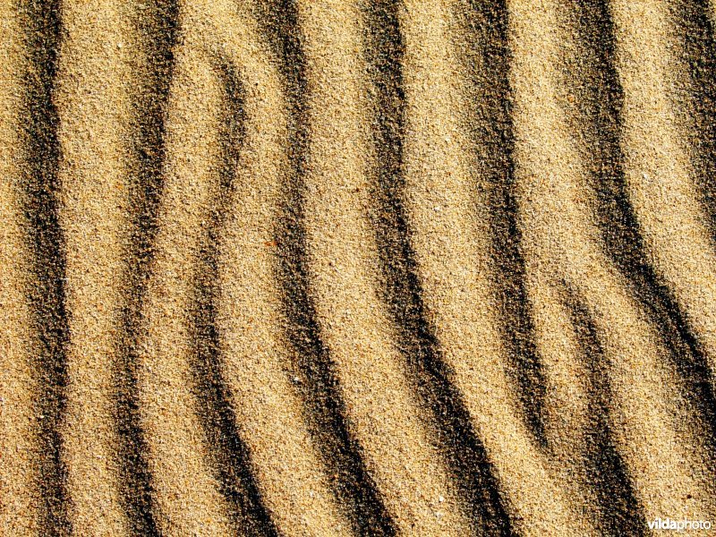 Ribbels in het zand