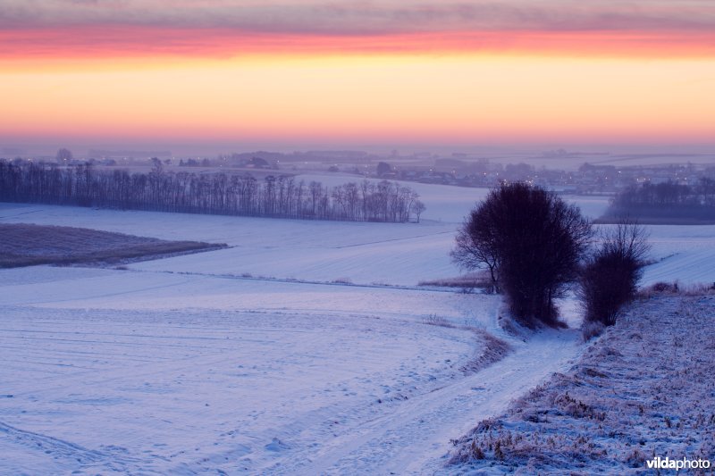 Holle weg bij zonsopgang