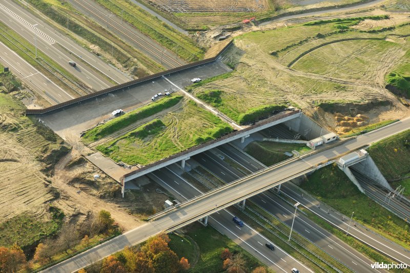 Ecoduct De Munt op de E19 snelweg