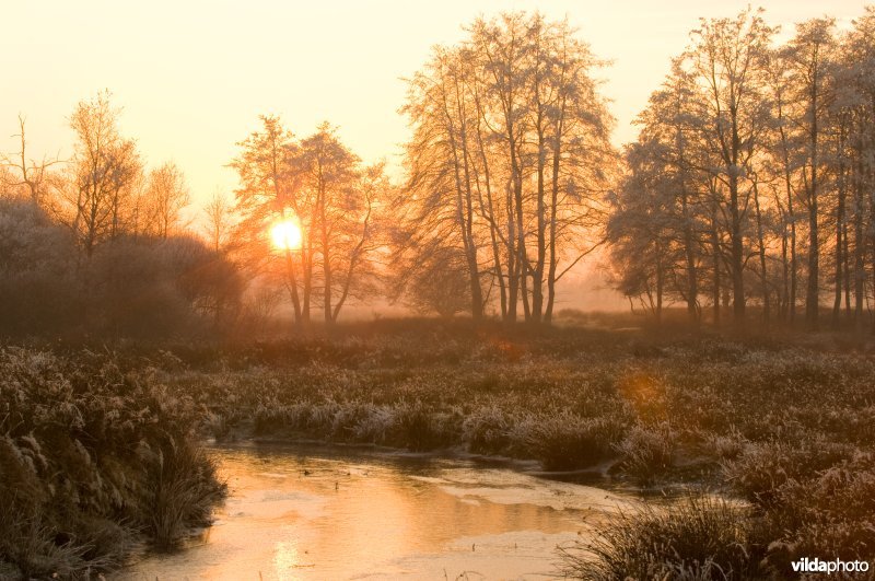 Doldersumse Veld