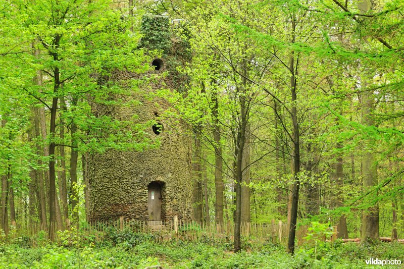 Geuzentoren in het Muziekbos