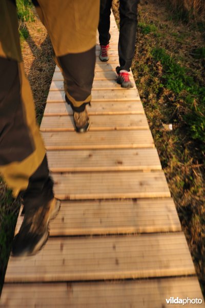 Wandelen op knuppelpad