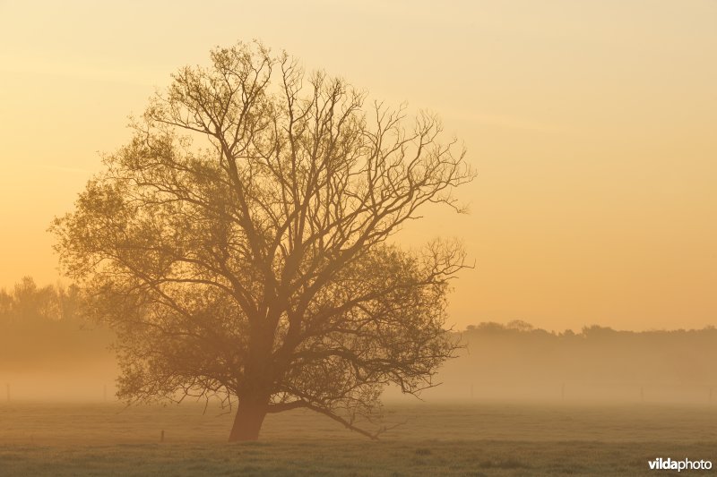 Dijlevallei: Hollaken - Hoogdonk Deel 2