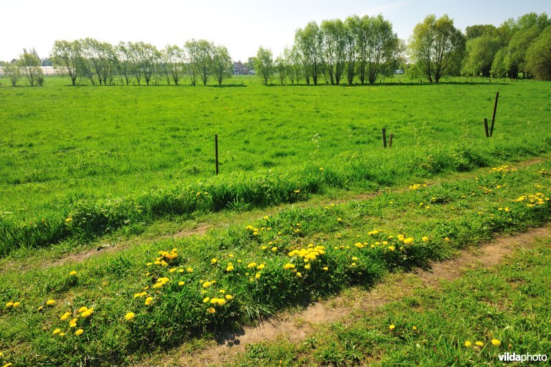 Vallei van de Grote Nete