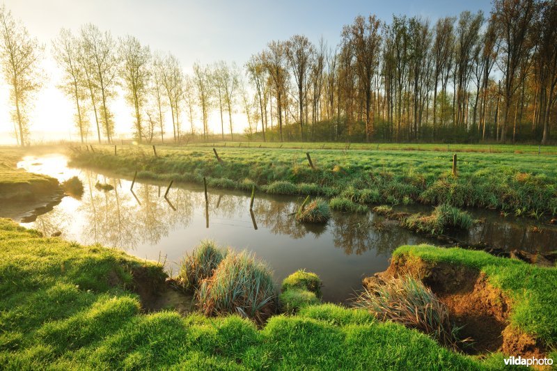 KBR polder