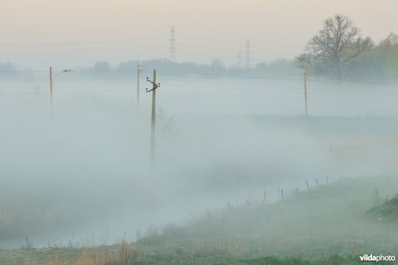 Ochtendnevel in de KBR-polder