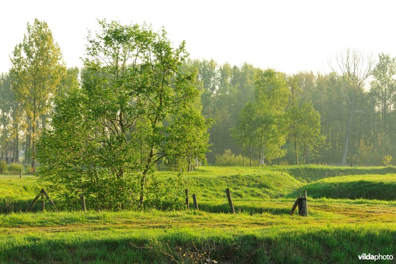 Vallei van de Grote Nete