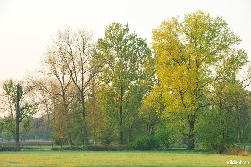 Vallei van de Grote Nete