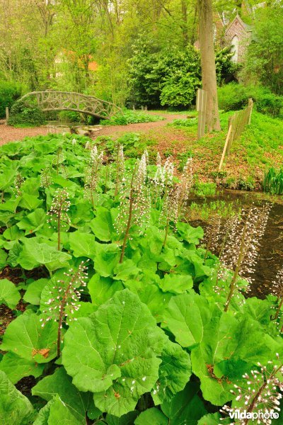 Sint-Arnolduspark