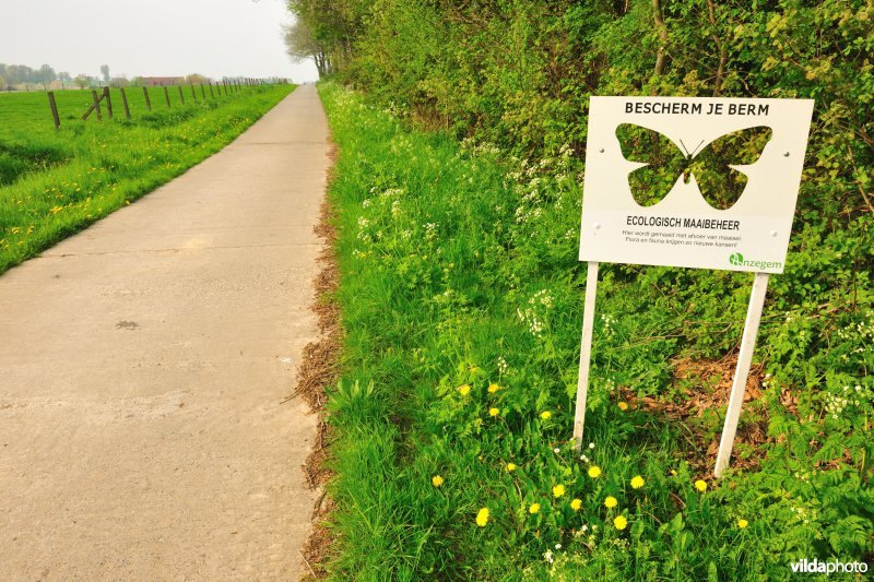 Berm aan Bassegembos