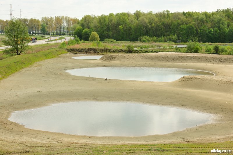 Natuurreservaat op Linkeroever