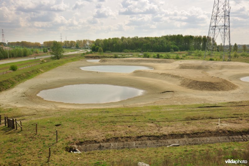 Natuurreservaat op Linkeroever