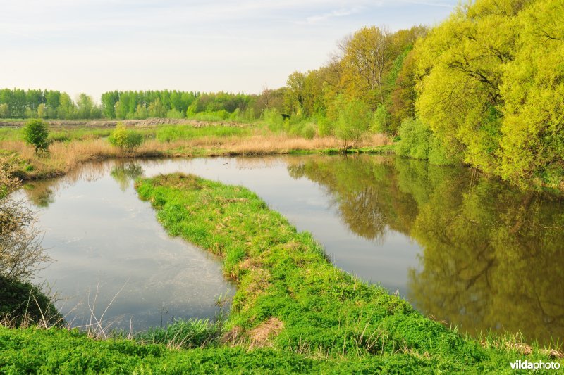 Schiphoekpolder