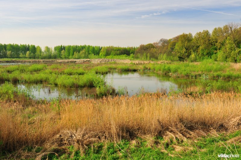 Schiphoekpolder