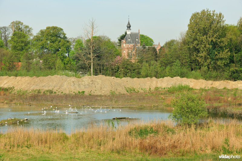 Schiphoekpolder