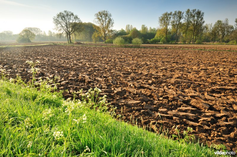 Dijlevallei: Pikhaken