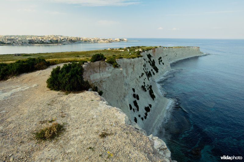 Kliffen op Malta