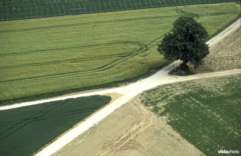 Luchtfoto van de Sintpietersberg