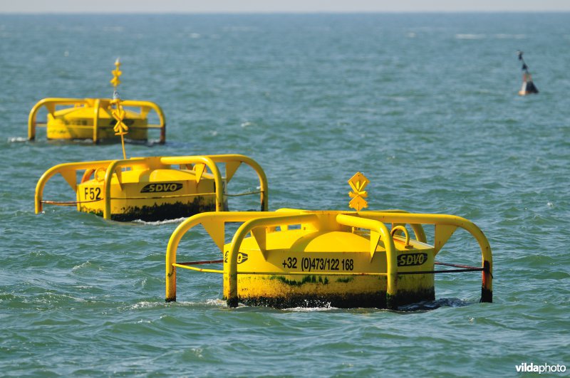 Mosselkweekboeien in de Noordzee